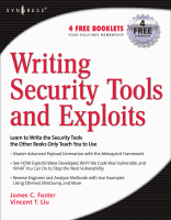 Writing_Security_Tools_And_Exploits.pdf